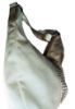 Picture of White Dots Bag brings  A vegan leather with a soft, luxurious texture